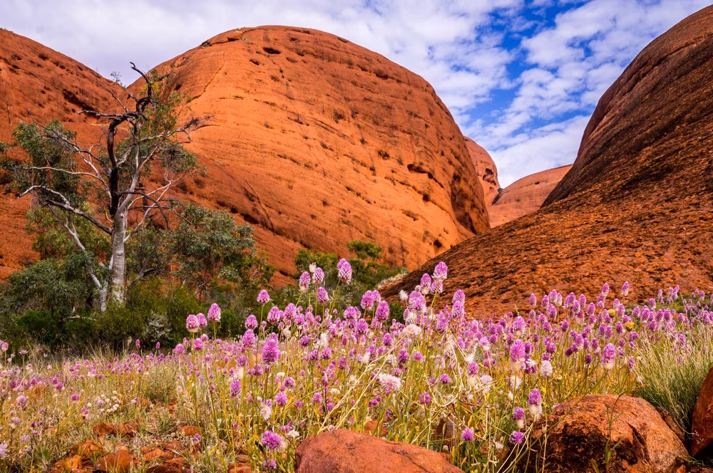 Colors of Australie